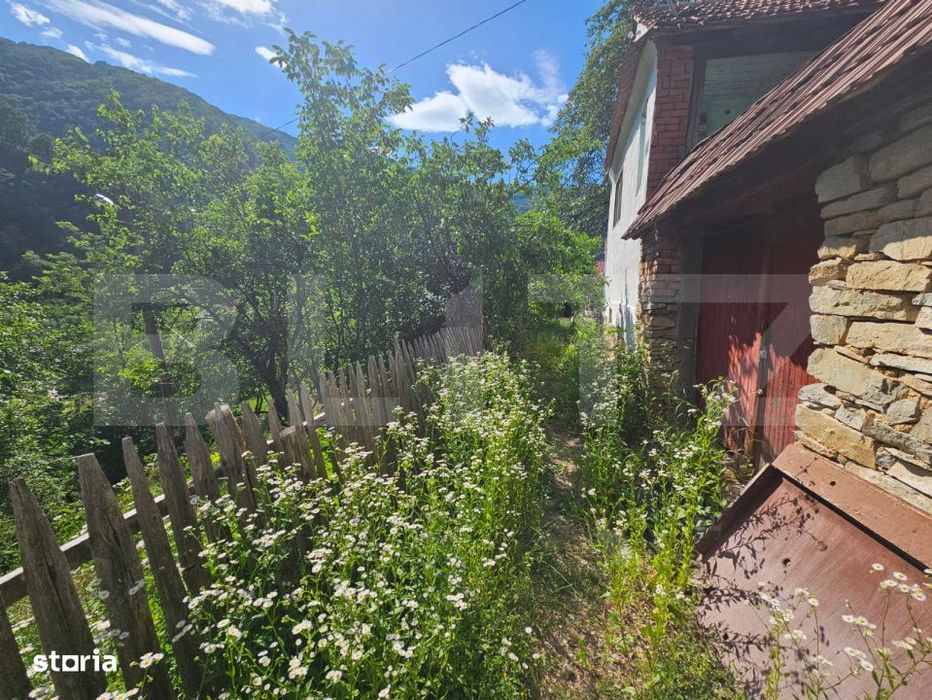 Casa traditionala - o investitie cu potential de dezvoltare, Capalna,
