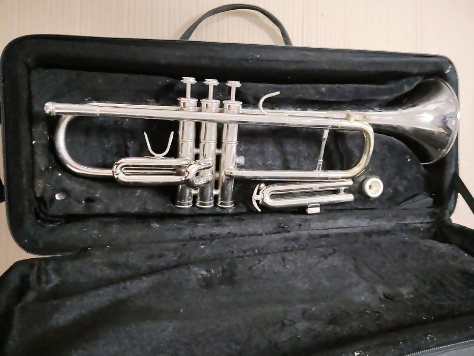 Цитра ,китара електрическа, бас флигорна, тромпет  и. цигулка.