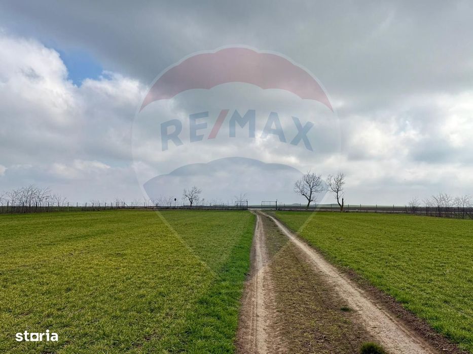 Teren extravilan Săcele ideal pentru silozuri, fermă sau investiție