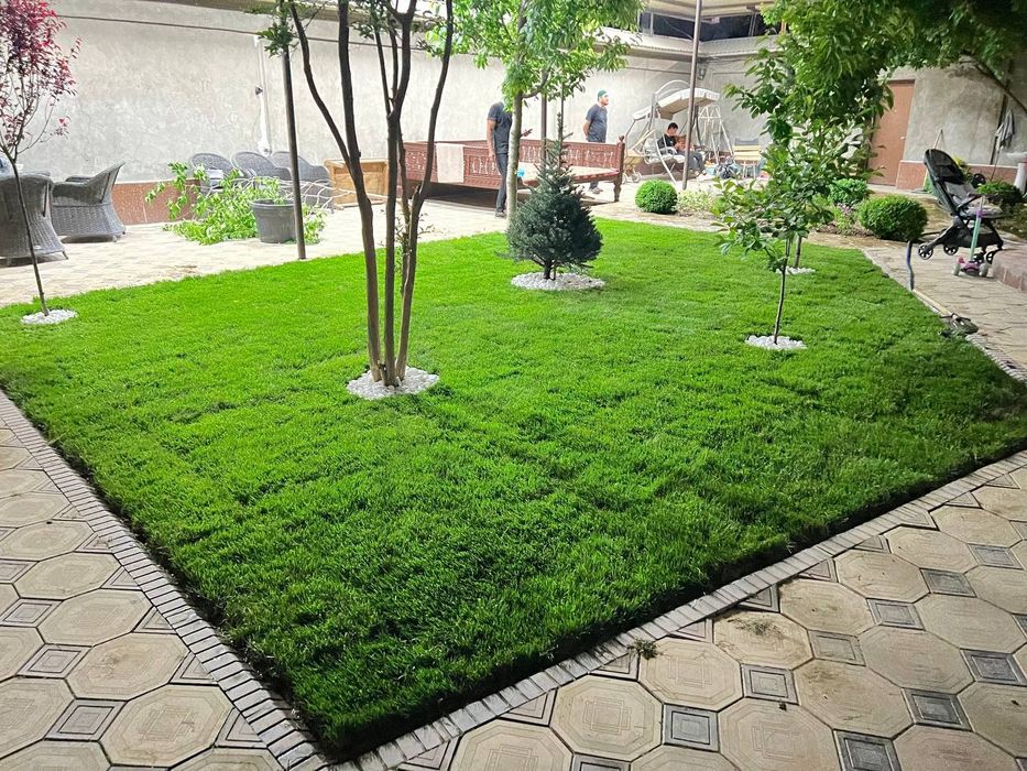 таёр рулони газон ёткизамиз ва газон уруг сепамиз