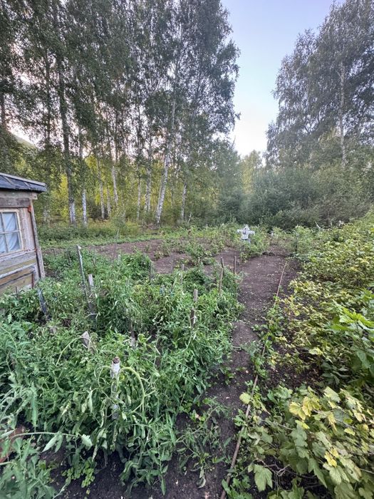 Продам дачный участок