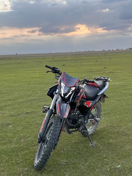 Қара бұқа 250купь