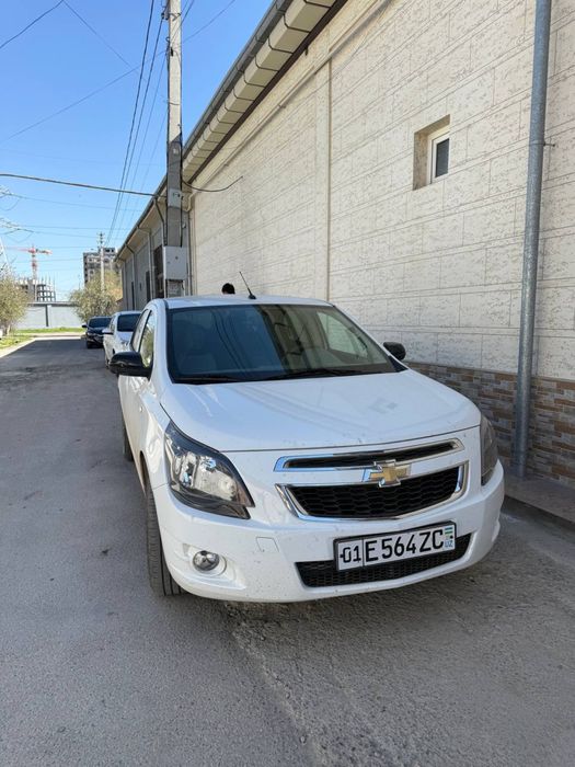 Cobalt 2025 gazi bor