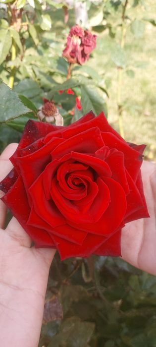 Сварщик на дом машине