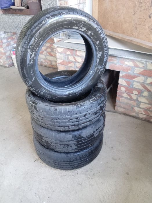 Коблыт шин летный