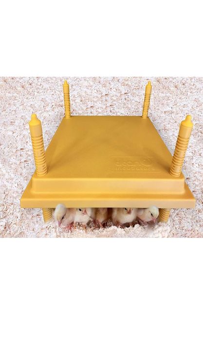 Placă încălzire pui/cloșcă artificială