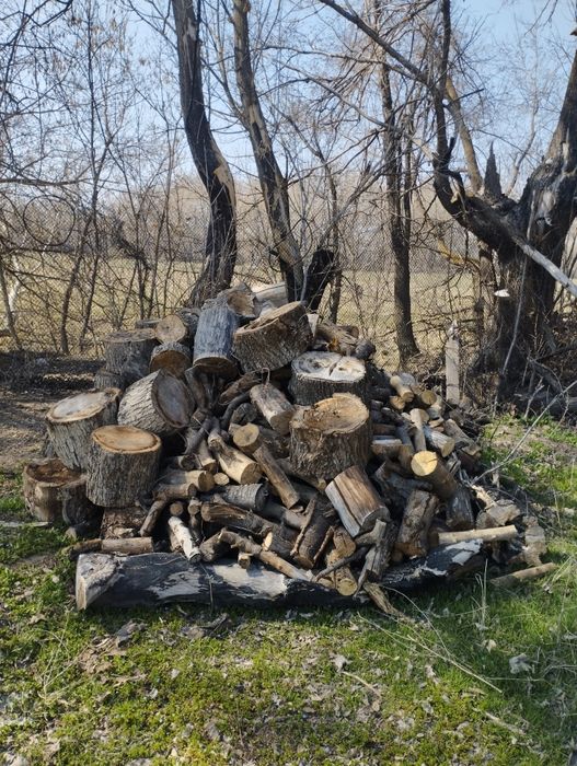 Дрова на продажу