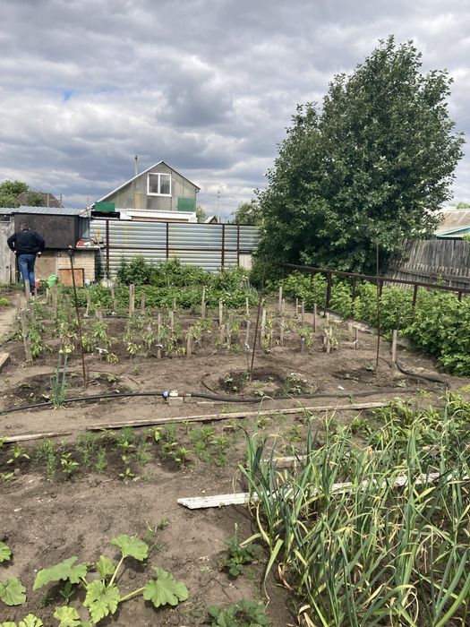 Сдам дачу в аренду с последующим выкупом