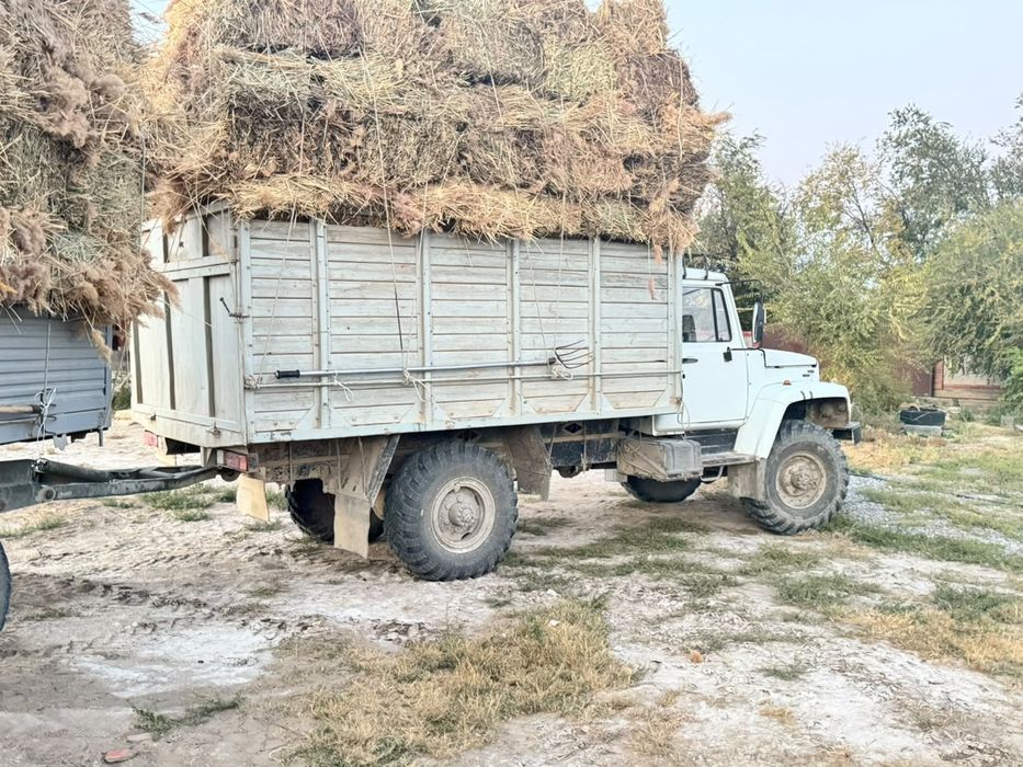 Қызылорда жалағаш