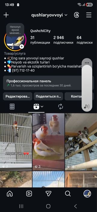 Кокил дурагай сава Срочно Сотилади отборный