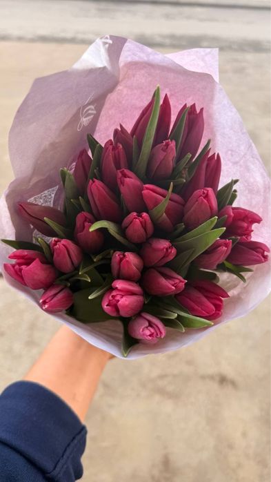 Тюльпаны из парника