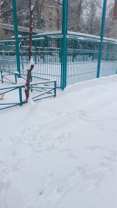 Сдам в аренду сарай с подвалом