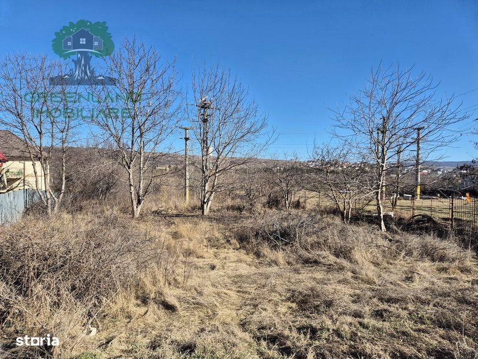 TEREN INTRAVILAN 1650mp, Lunca Cetatuii