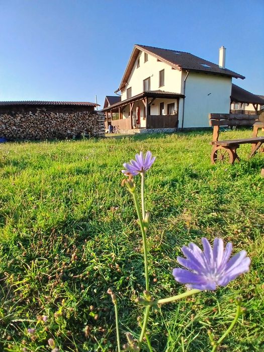 CASA RUSTICA + teren 1000 +1000 mp, cartier rezidential in mijocul naturii