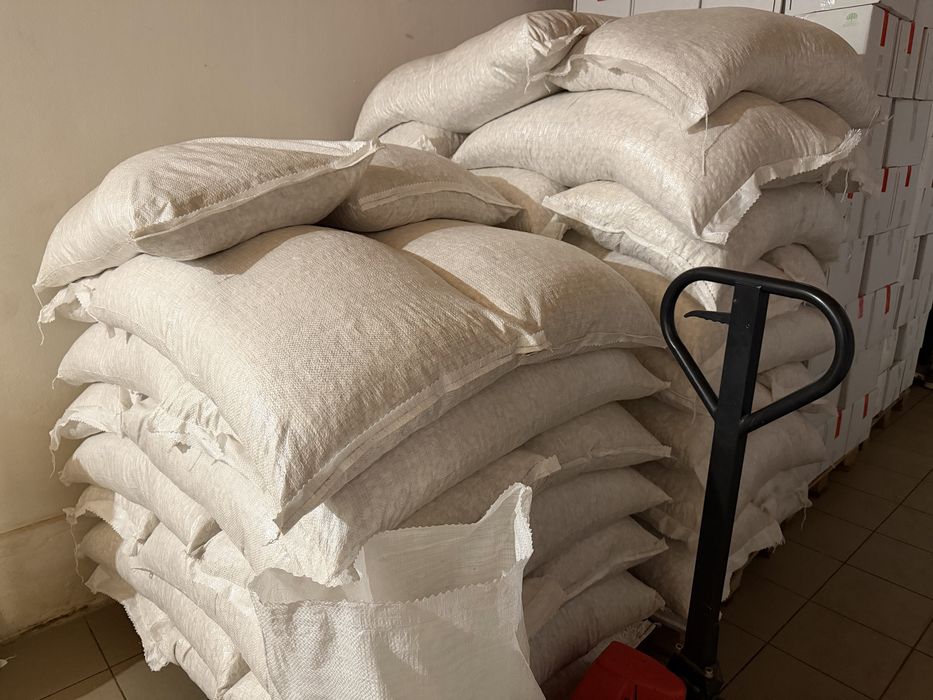 Semințe de Bostan, dovleac