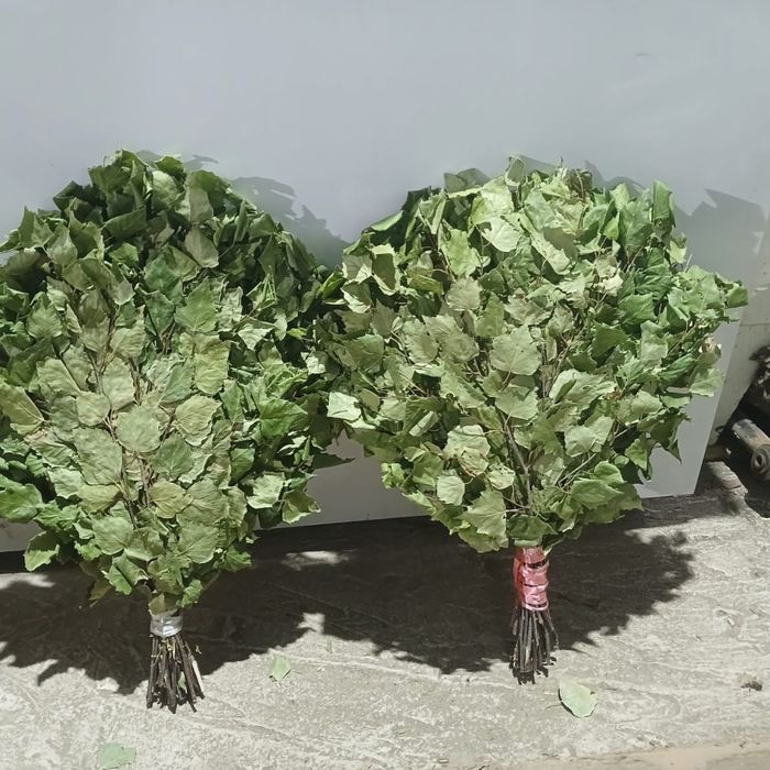 Свежие веники для бани и сауны