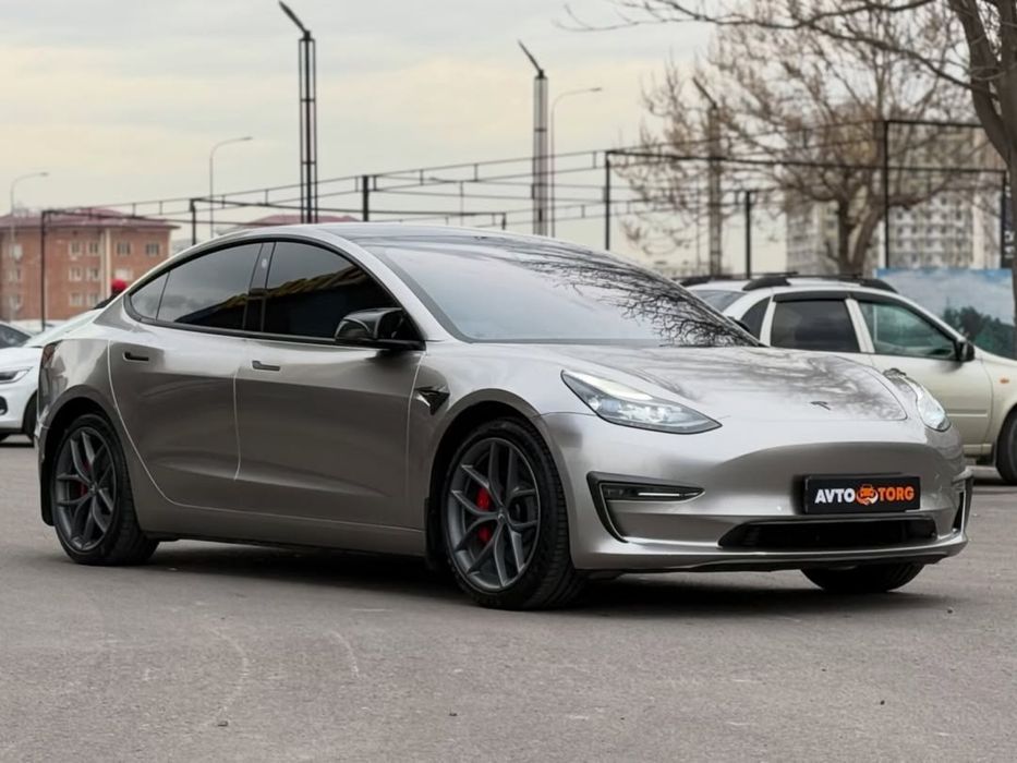 Tesla Model 3 Performance