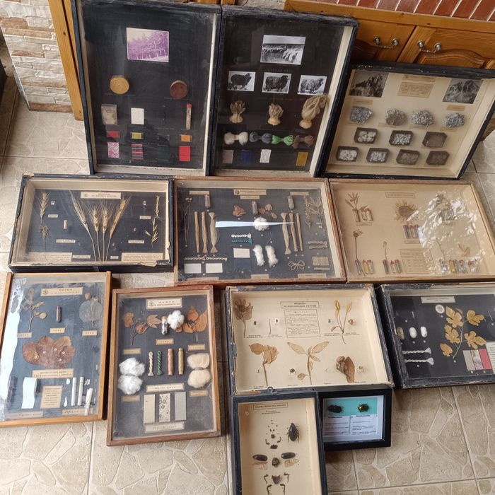 Учебни модели по Биология и география в дървена рамка със стъкло