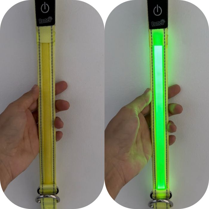 Zgarda cu LED pt caine