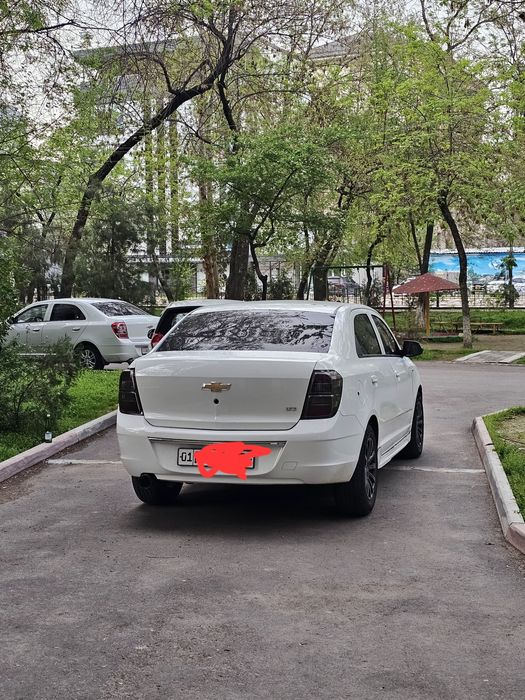 Сухая аренда , Коболт