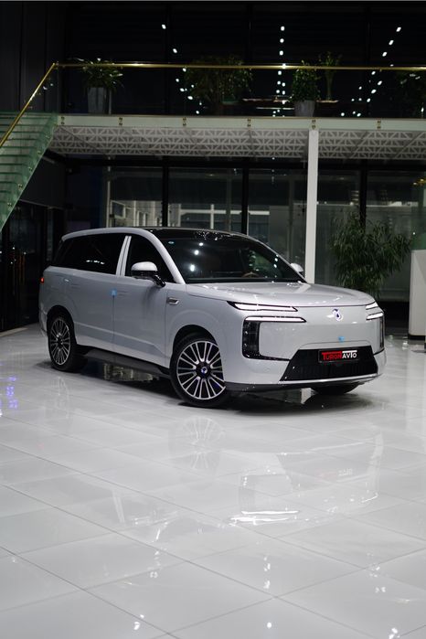 Denza N8L в Ташкенте