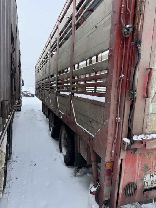 Продам скотовоз