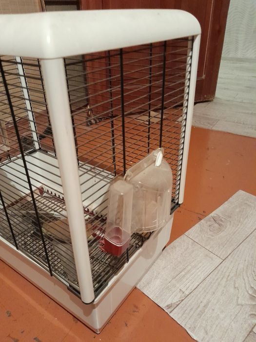 Клетка, попугай, хомяк, птица