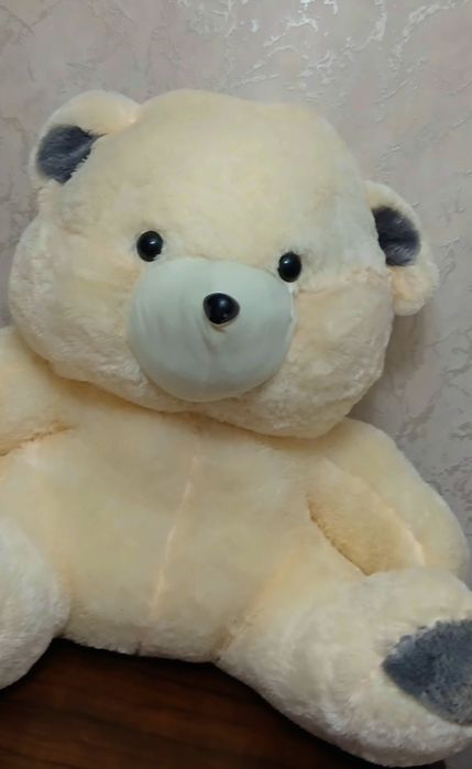 Teddy  Ayiqchasi