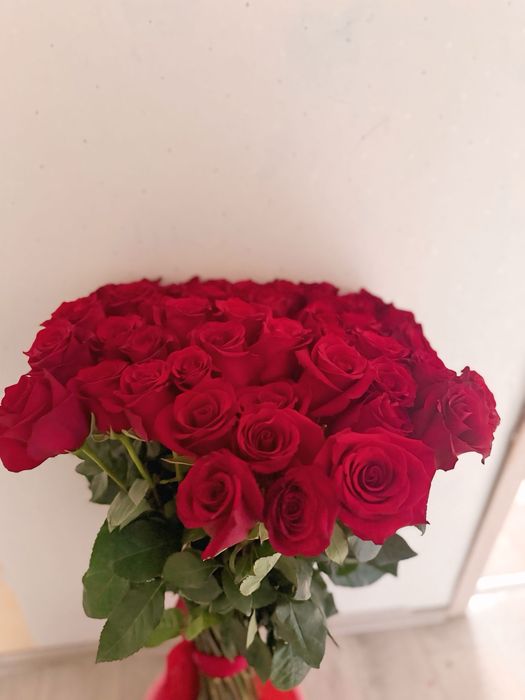 метровые голландские розы