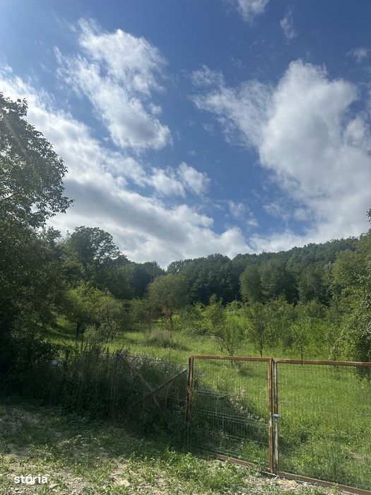 Telega - casa - teren 13000 mp/8000mp pădure - 170000 Euro