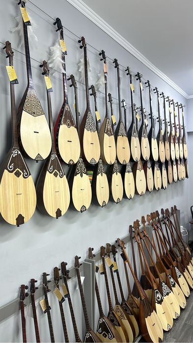 Кәсіби домбыра, домбра, dombyra