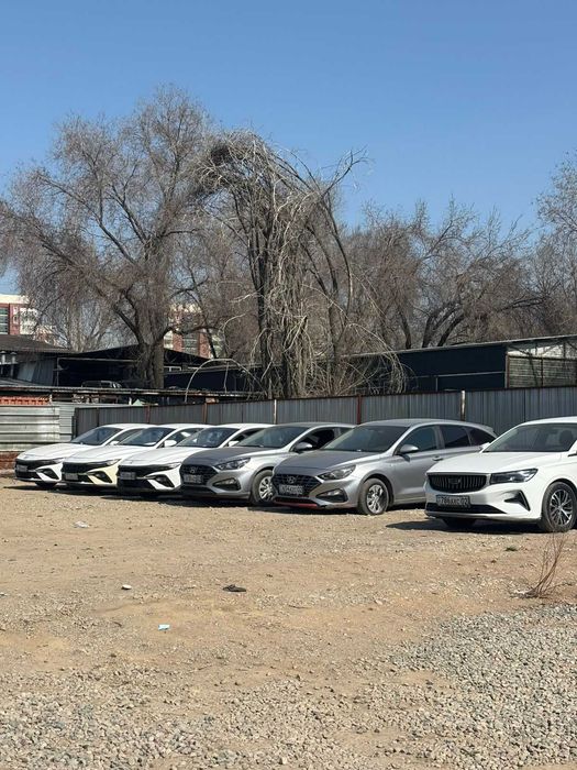 Автомобили под выкуп в межгород