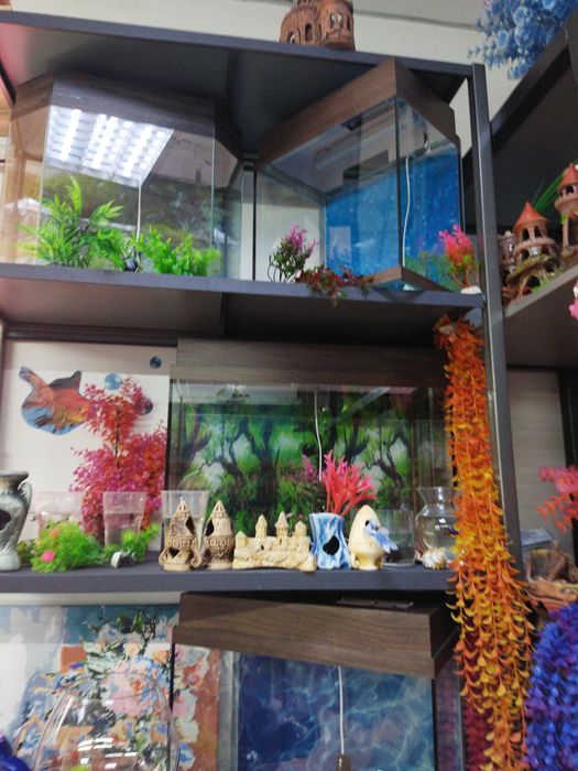 Аквариум 60л в Афалине