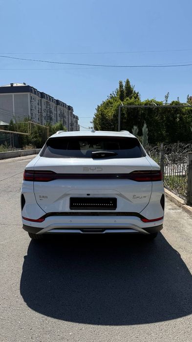 BYD Champion 2024 ev