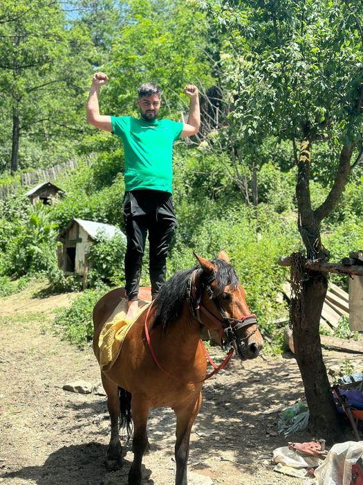 Iapă de 7ani de vânzare