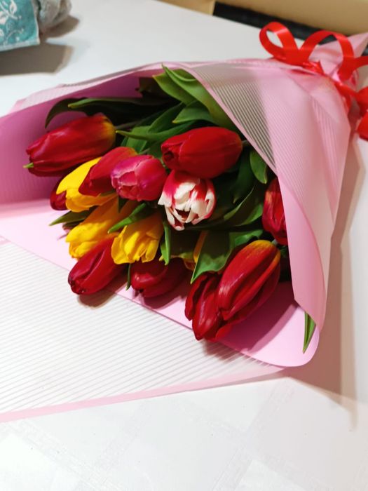 Тюльпаны в Шымкенте