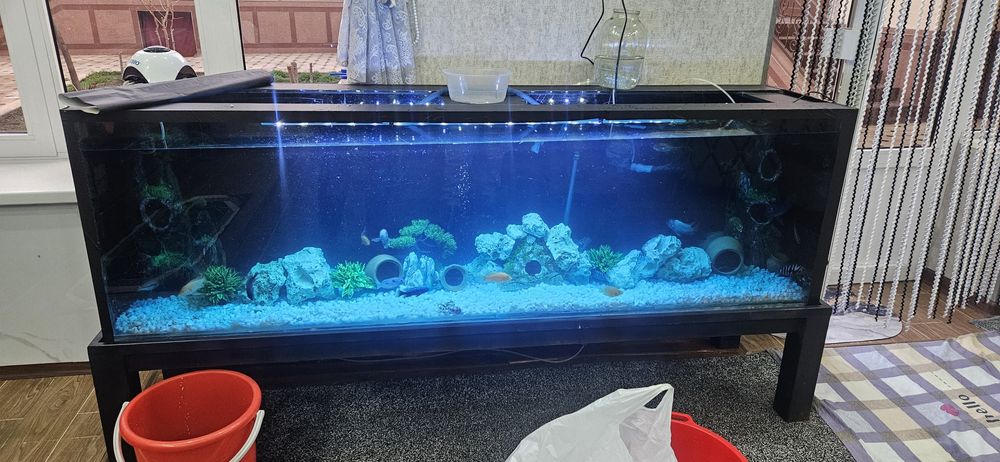 KOTTA AKVARIUM 200×47×60 10мм