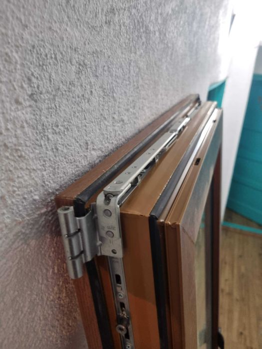 Usa termopan Salamander bluEvolution