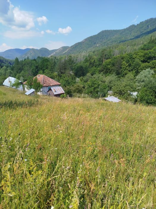 Vand Casa si Teren Sat Vadu Oii, Gura Teghii