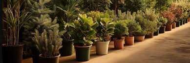 Гидрогель Gidrogel Hydrogel AQUA высшего сорта универсальный