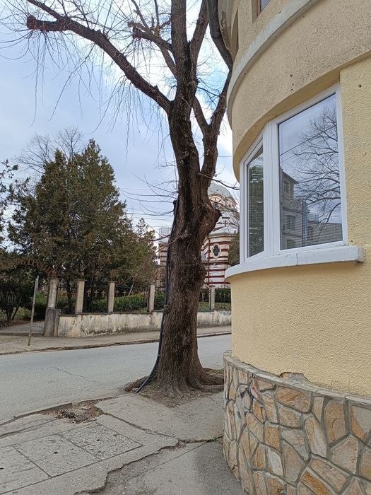 Дава се под наем Къща в Добрич, Център - 56 кв.м за 309.06 € - Снимка #2