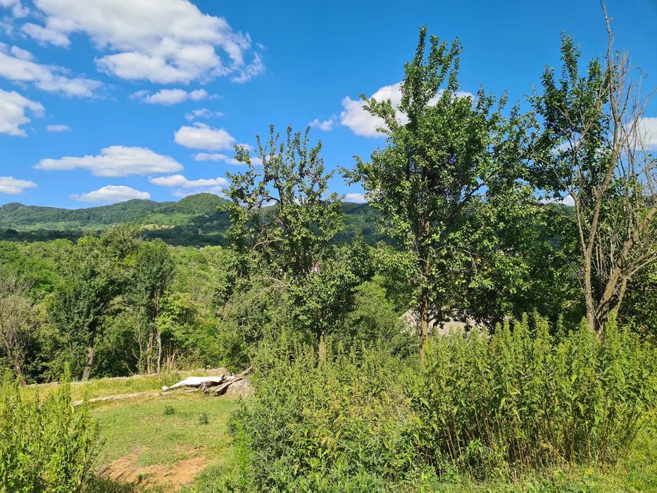 Particular Teren in Corbsori Arges - Corbii de Piatra - 33000 euro - Negociabil