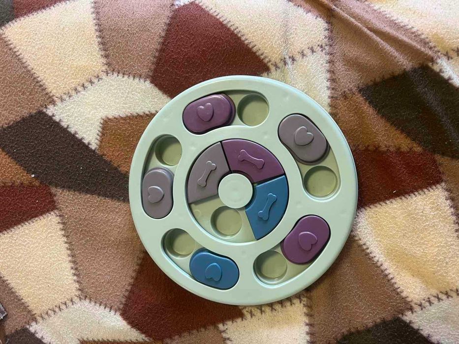 аксесоари за дресиране на куче