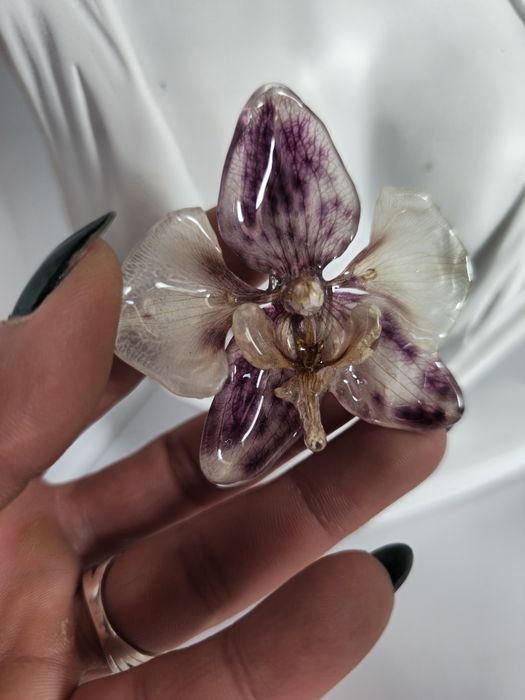 Брошки с естествен цвят на орхидея.