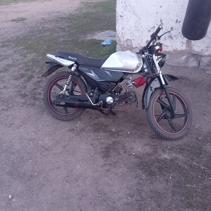 Продам рейсер шара 125 кубов
