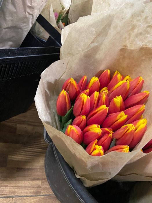 Тюльпаны на 8 марта