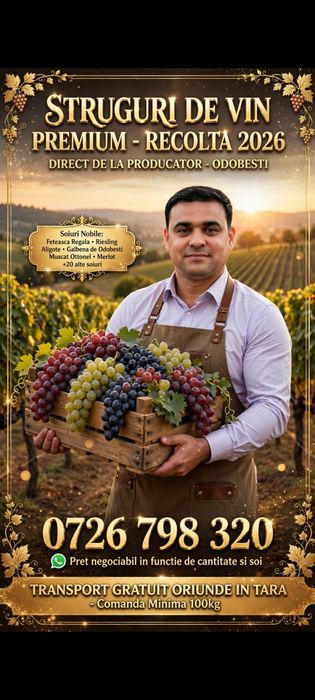Struguri de vin ce-a mai buna calitate