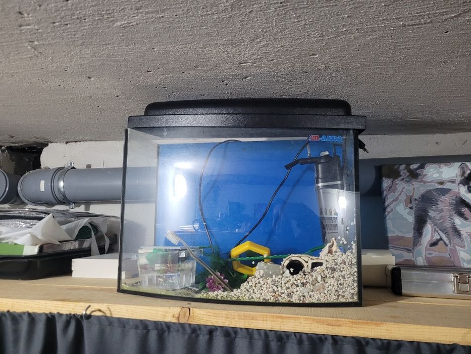 Аквариум для дома или офиса