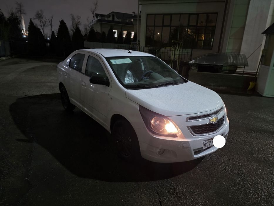 Kobilt Masla 2025 Yil Nomer Olingan