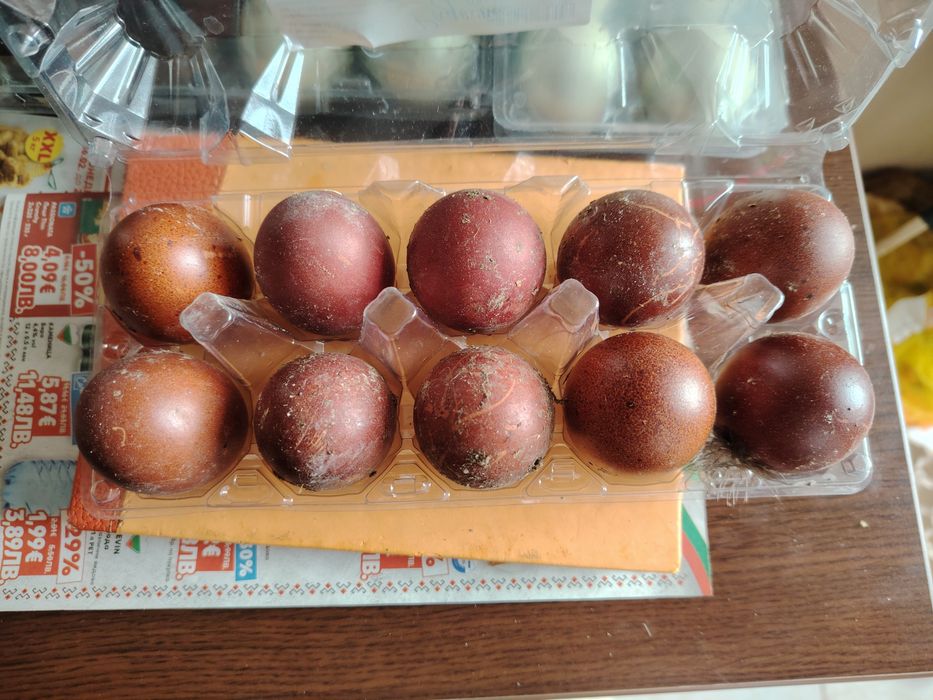 Разплодни яйца Маран